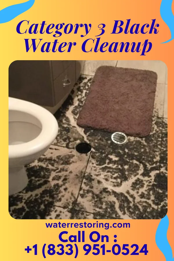 Category 3 Black Water Cleanup in Zeba, MI