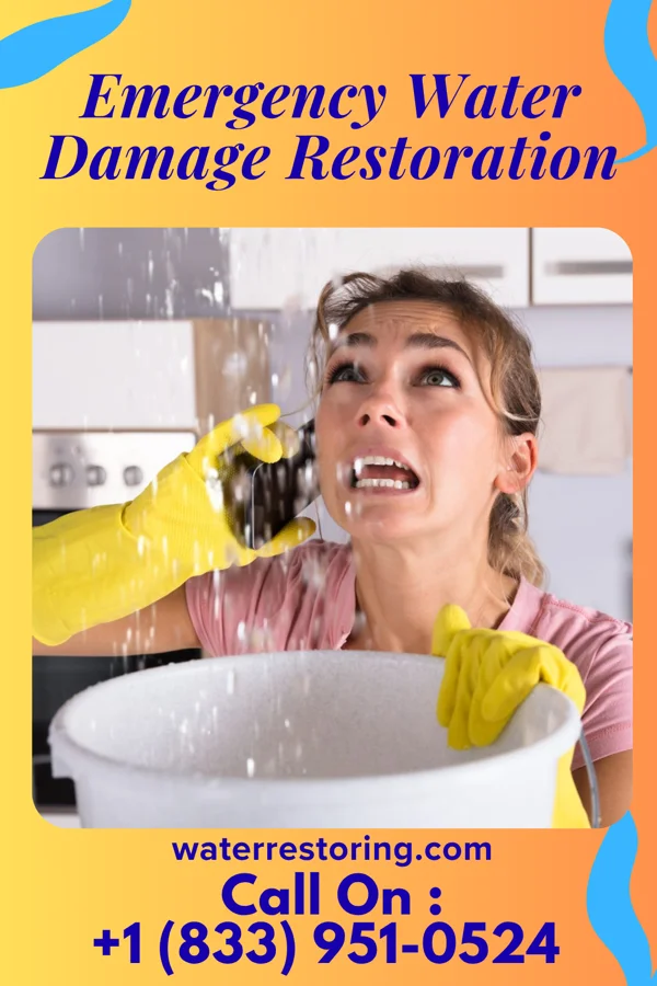 Emergency Water Damage Restoration in Zeba, MI